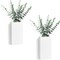 2 Pack Wood Wall Planter Vase with Artificial Eucalyptus Farmhouse Hanging Decor